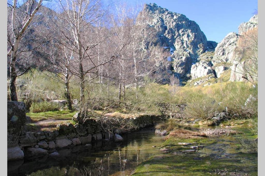 Casa Oeste Sabugueiro  Eksteriør billede